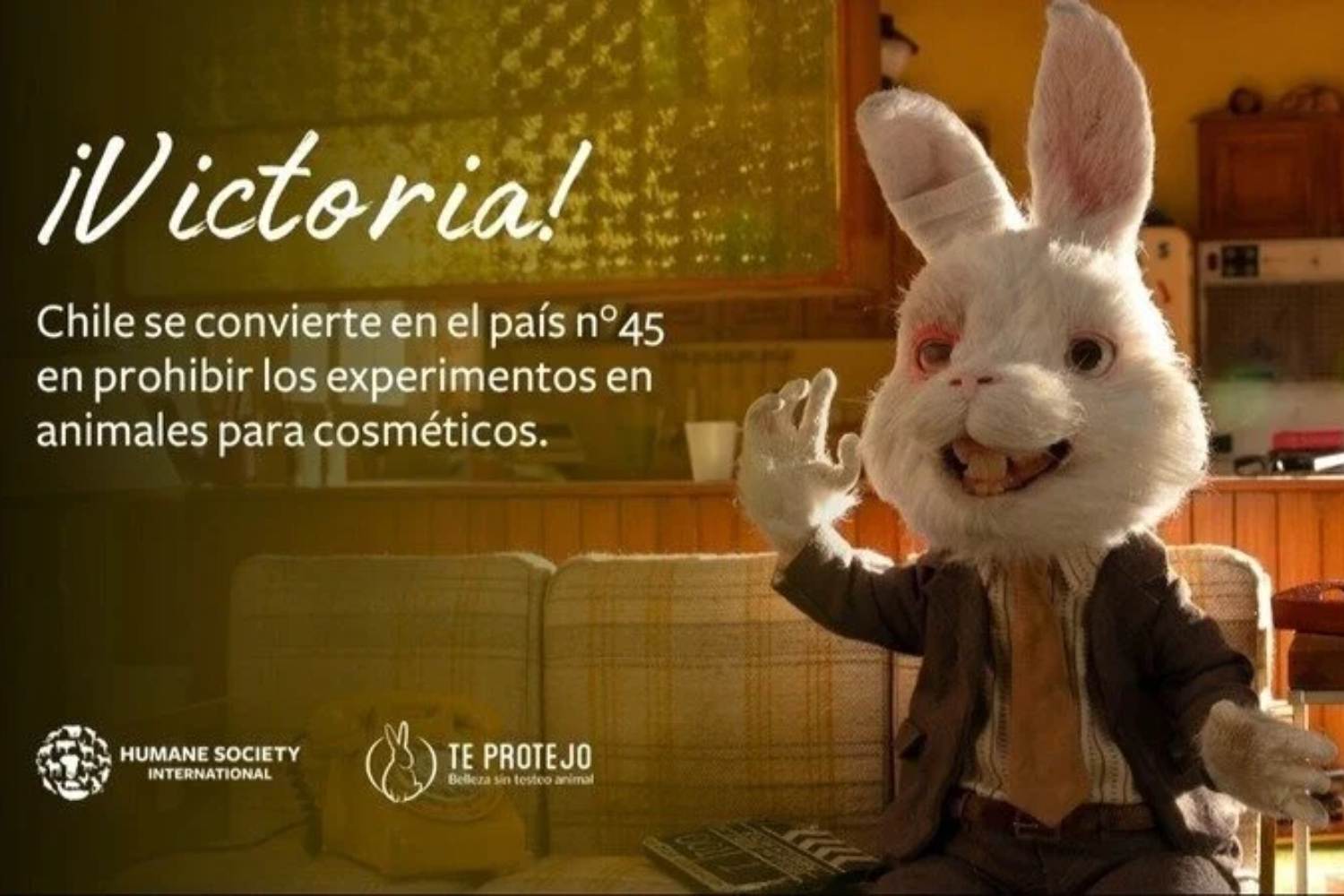 Cile animali cosmetici