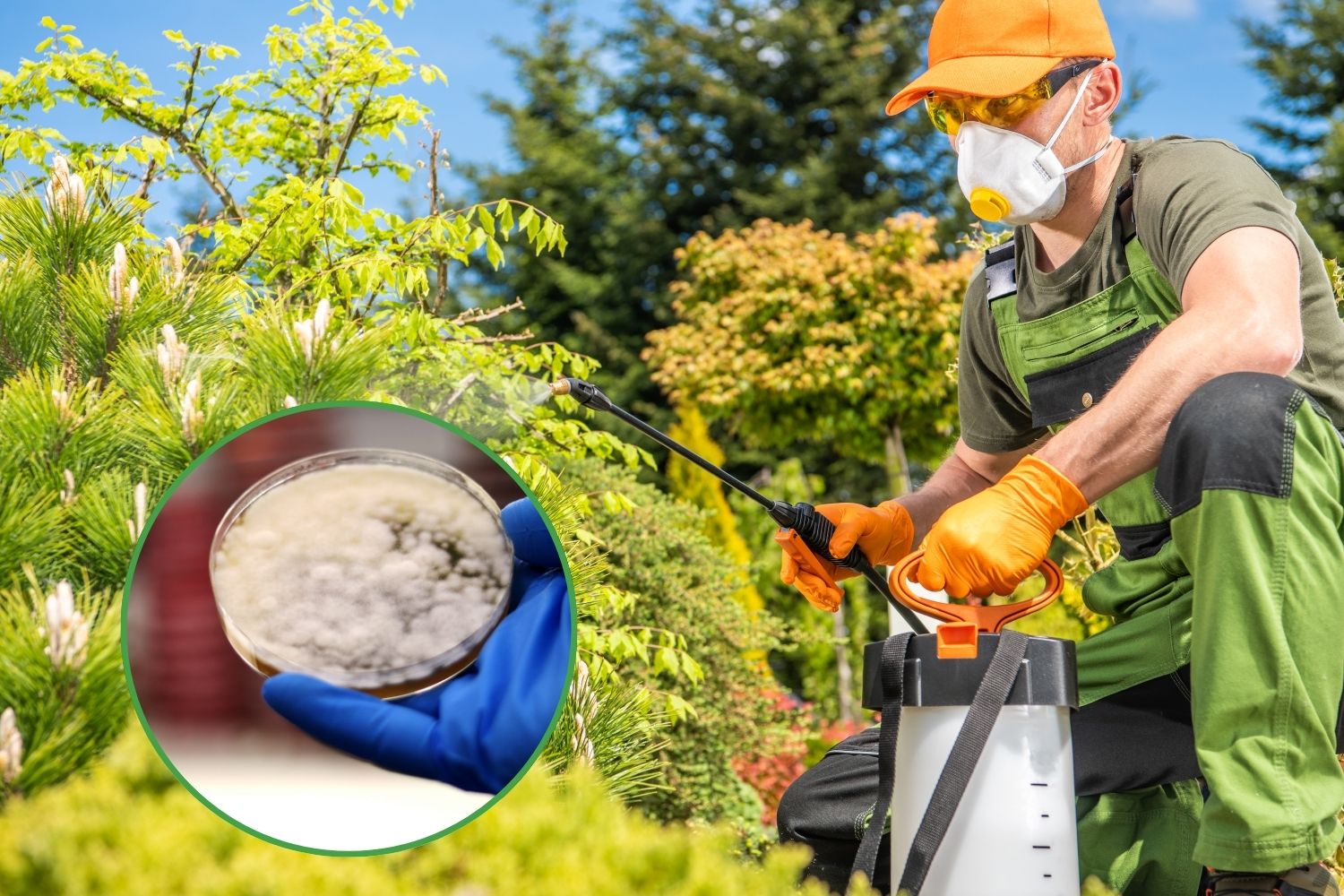 fungicidi resistenza