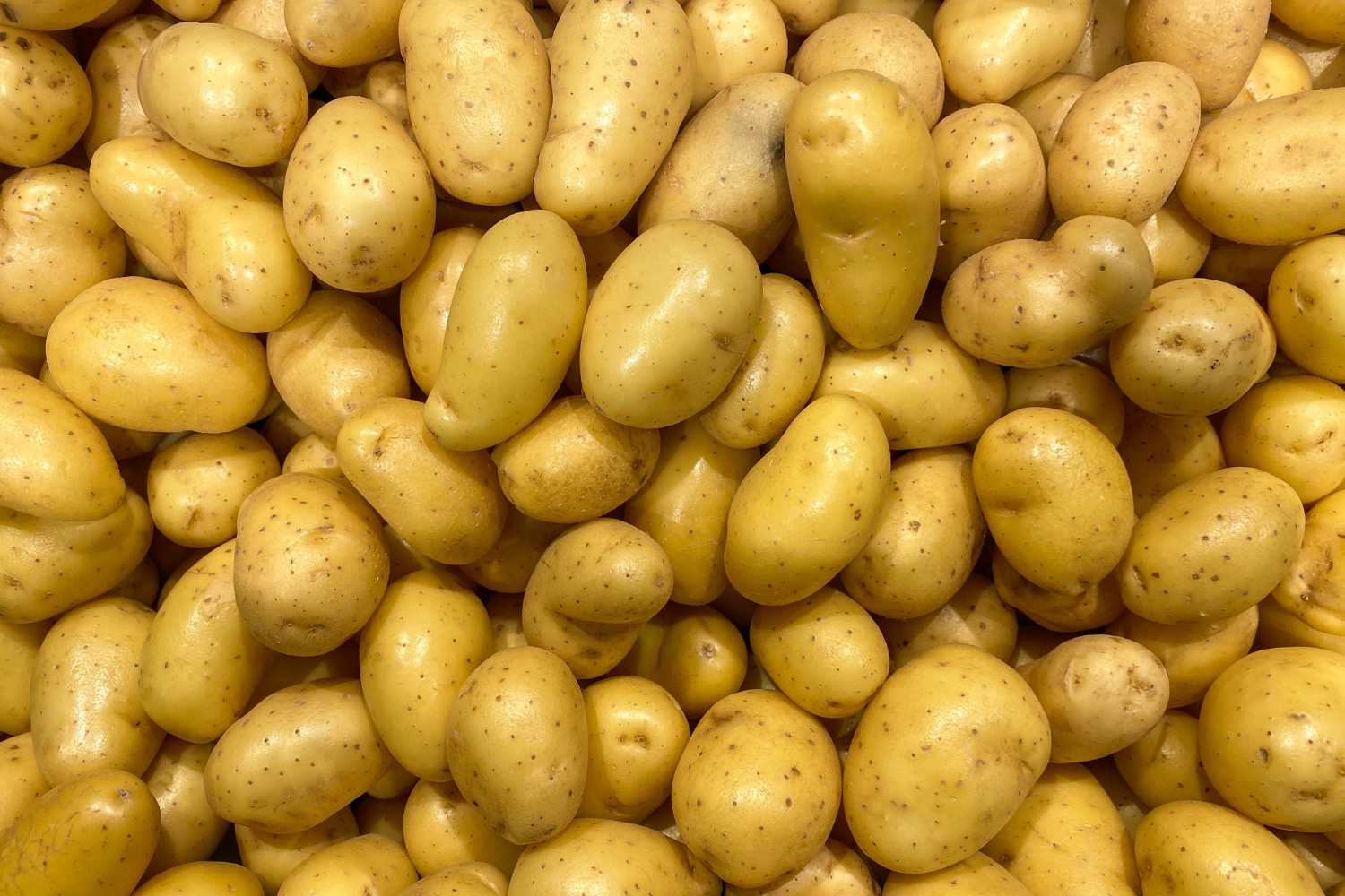 new potatoes