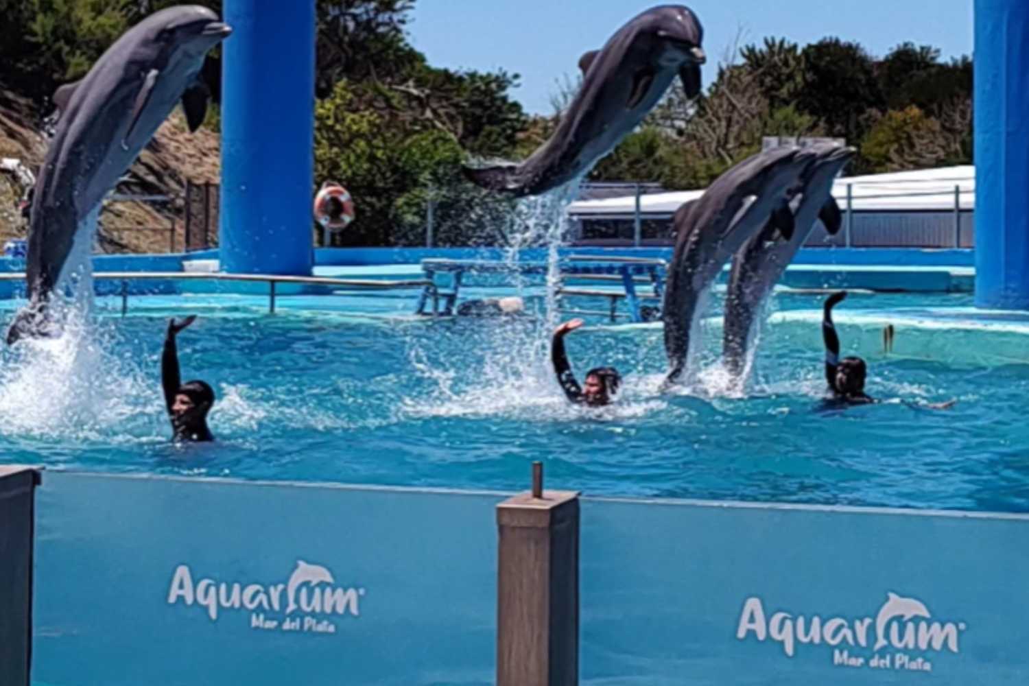 Acquario Mar del Plata