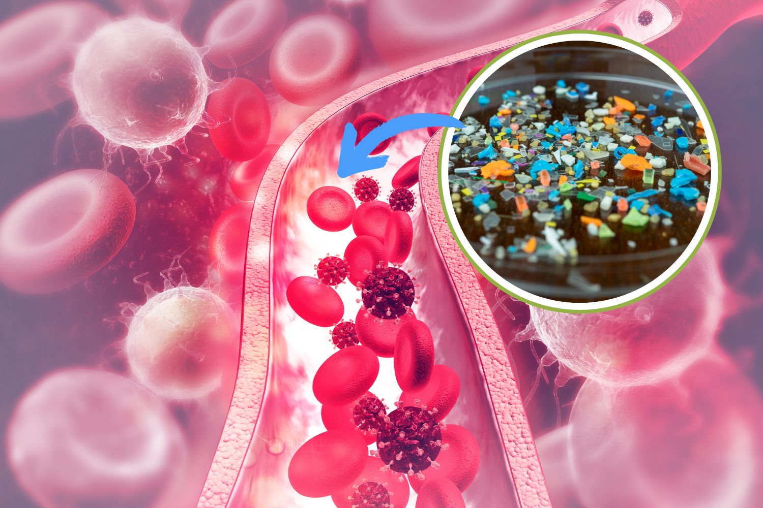 microplastiche sangue