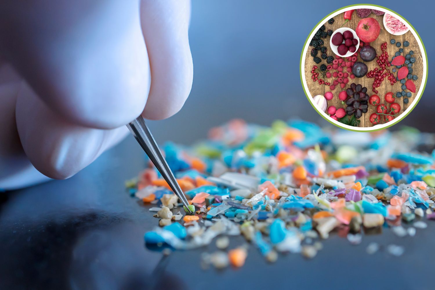 Microplastiche_e_antociani