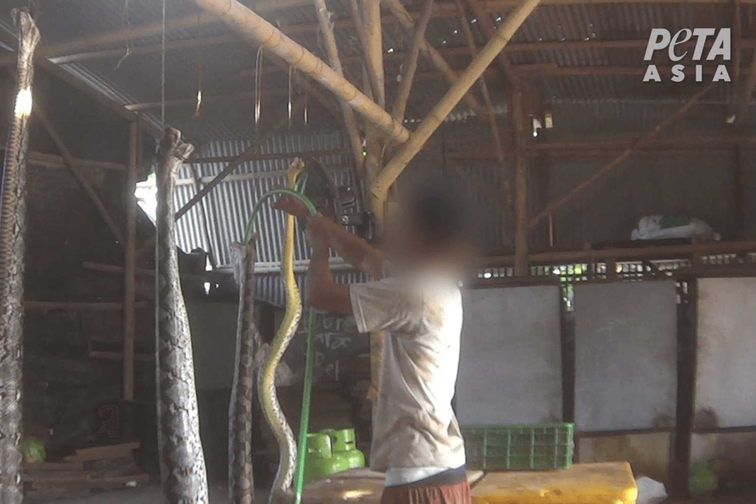 pitoni borse louis vuitton