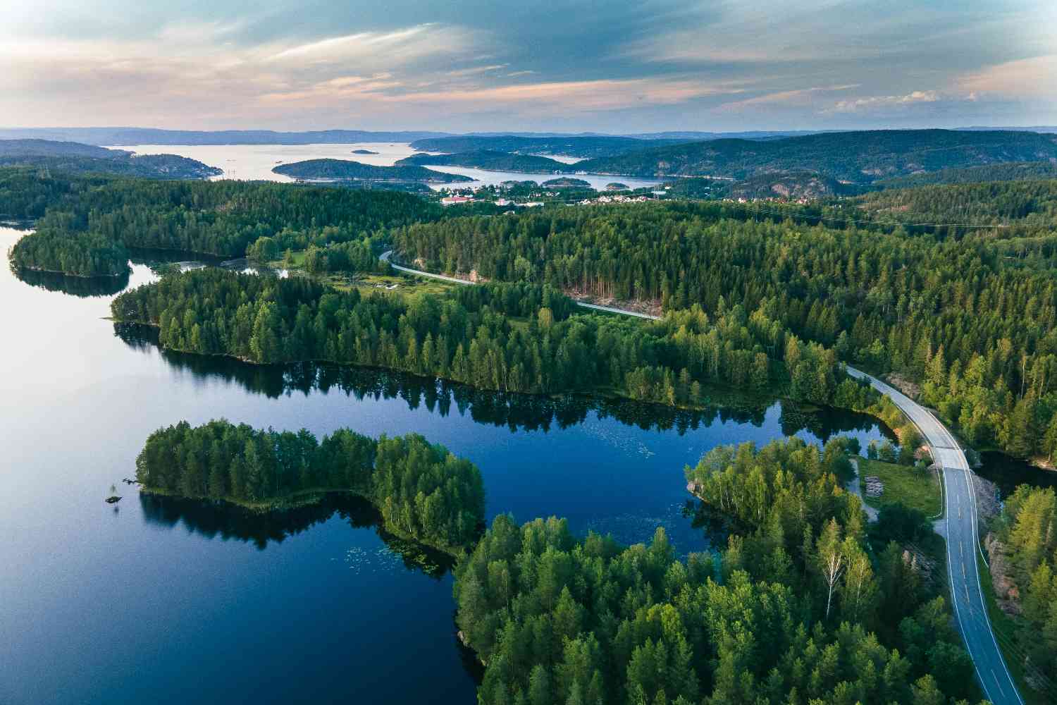 Norvegia deforestazione