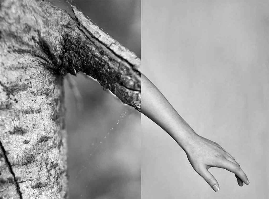 @Annemieke-Tonnaer-Photography