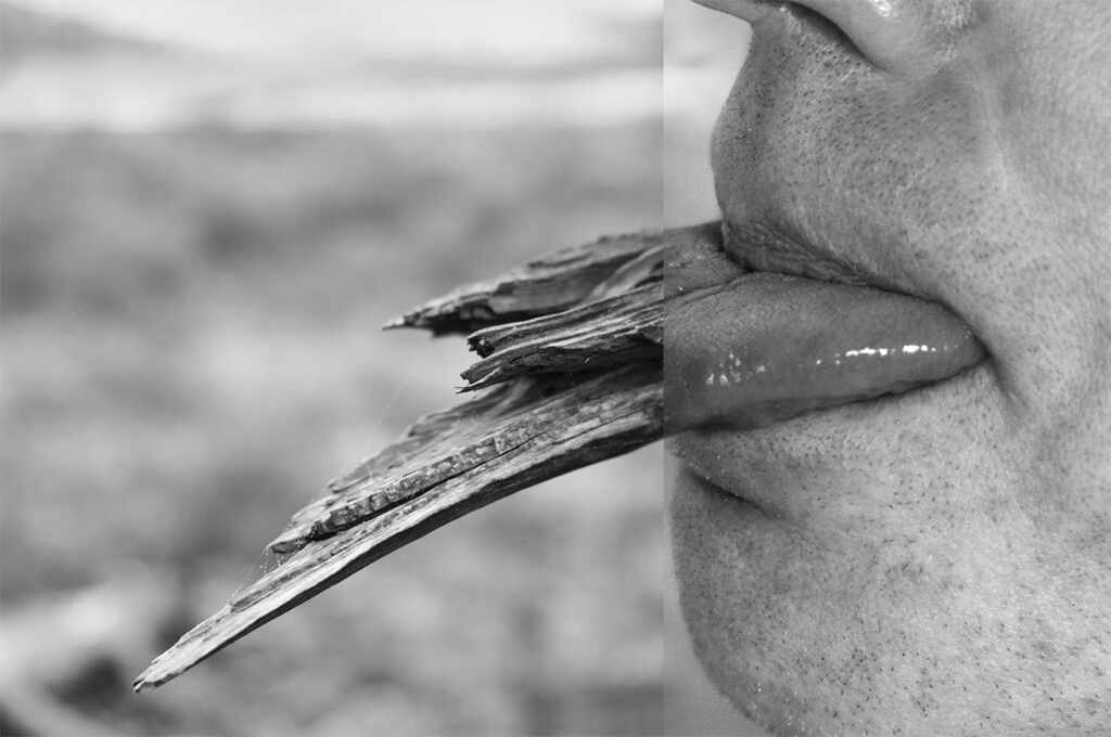 @Annemieke-Tonnaer-Photography