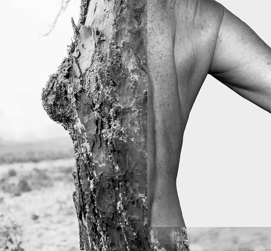 @Annemieke-Tonnaer-Photography