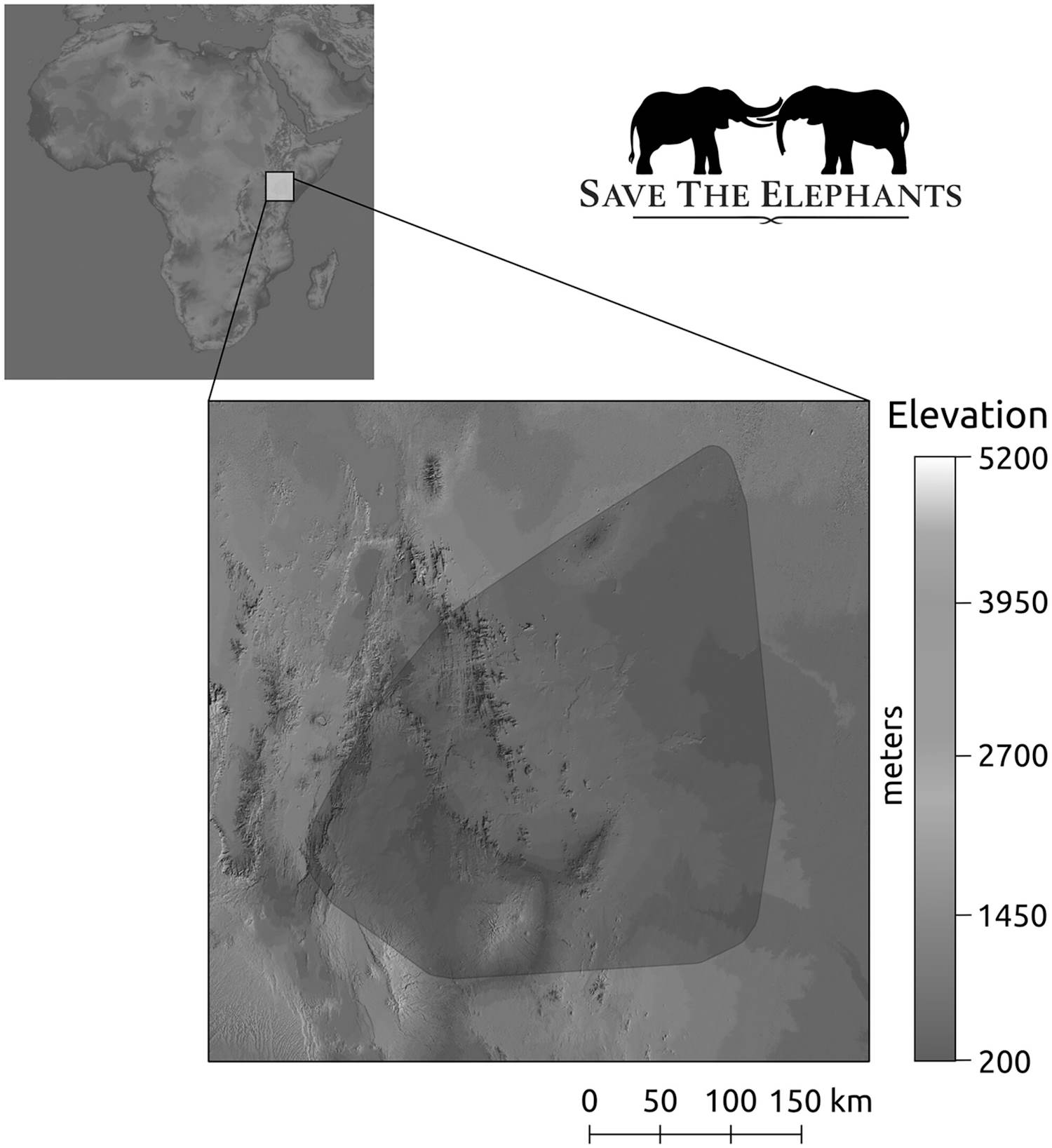 Elephants Travel energy saving