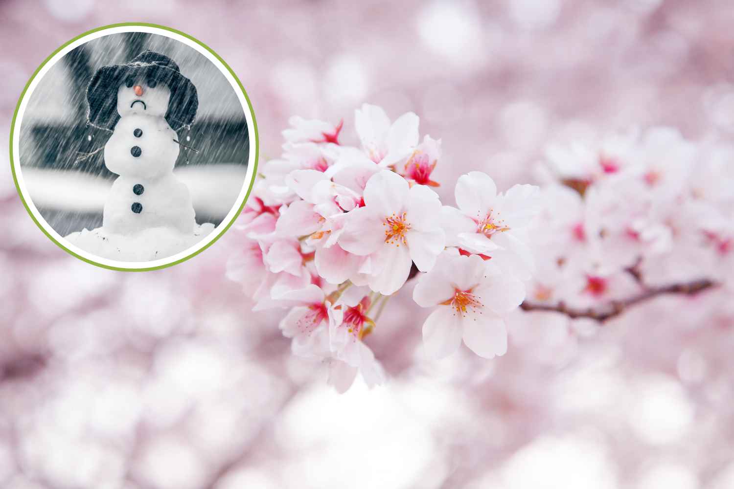 The days of the old man: what they are and why it's still cold at the end of March