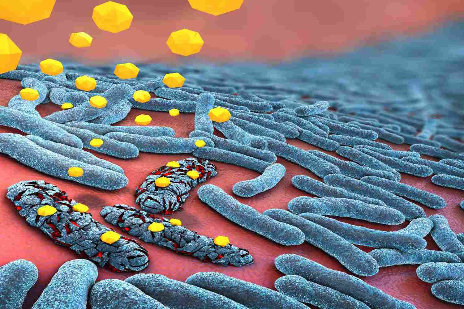 antibiotico resistenza