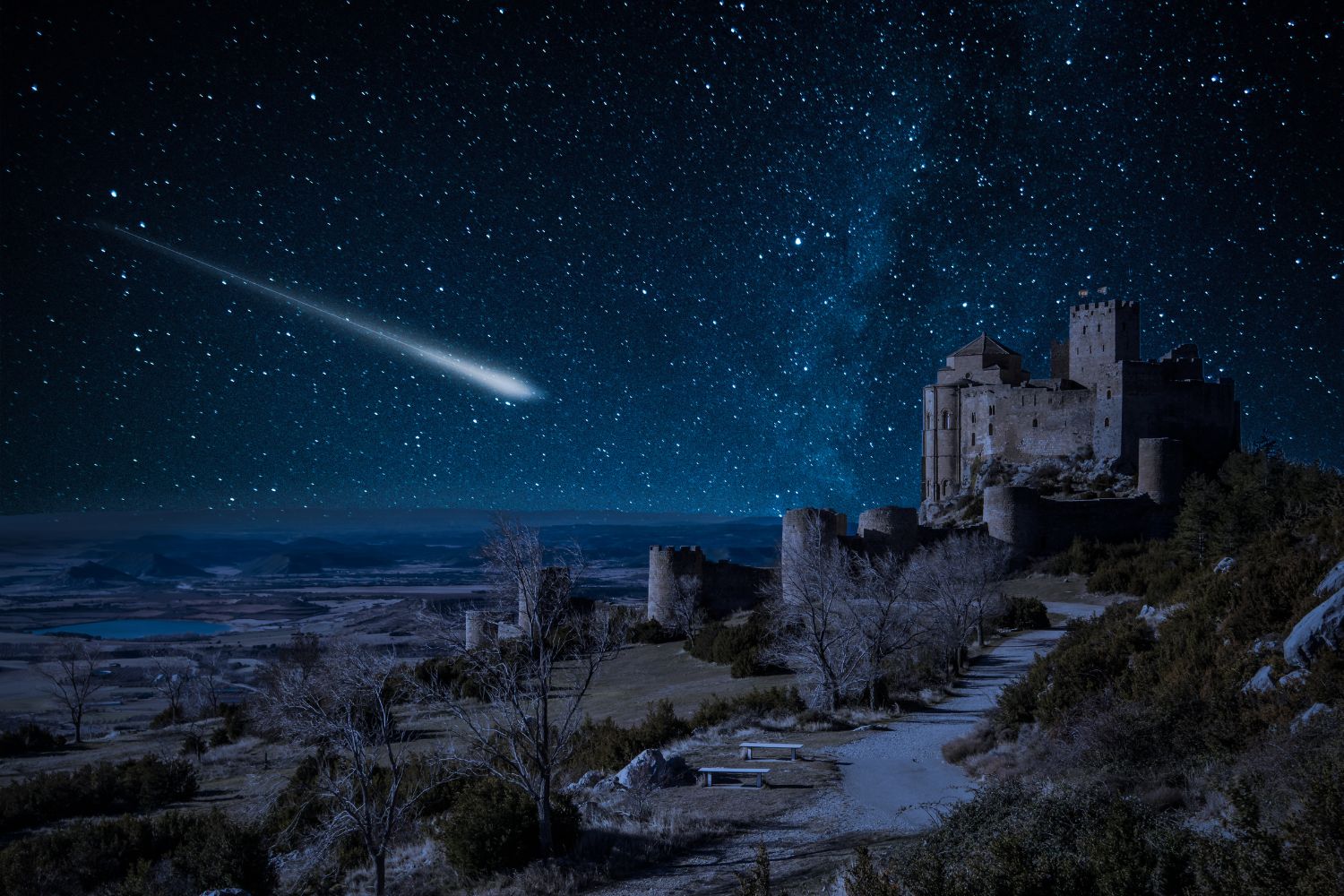 stelle cadenti delta cancridi aprile 2025