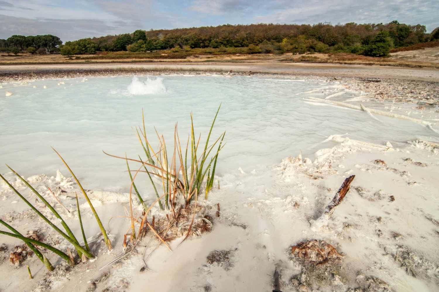 The Caldara of Manziana