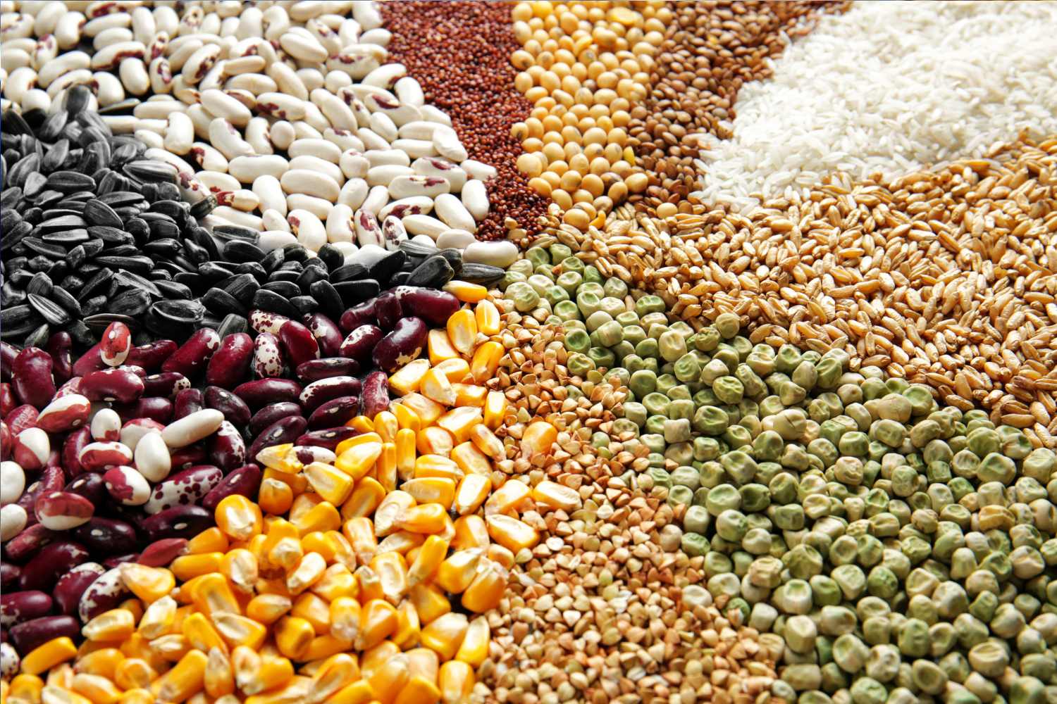legumes and cereals