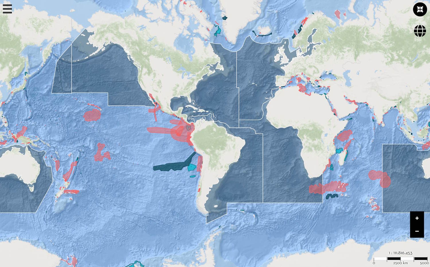 Painted shark identified in nature