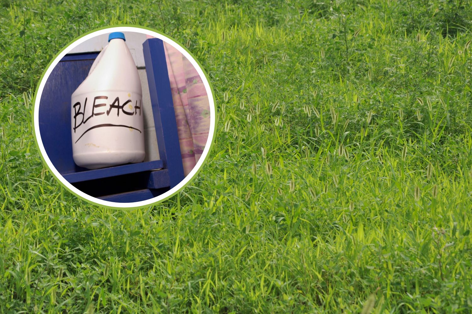 candeggina diserbante