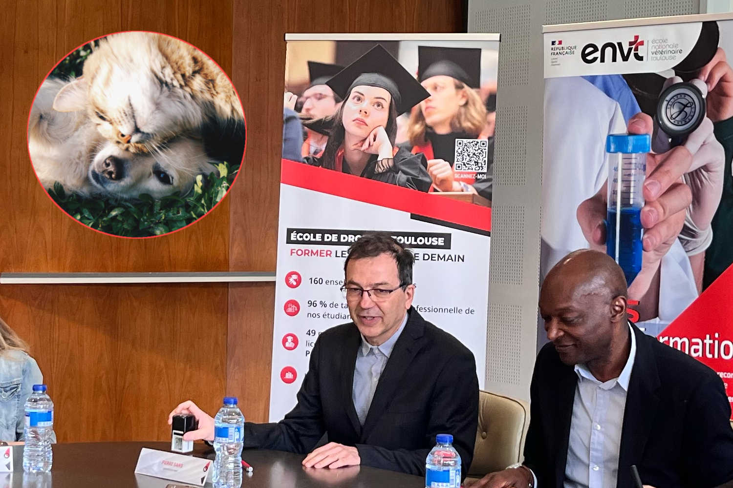 Corso diritti animali