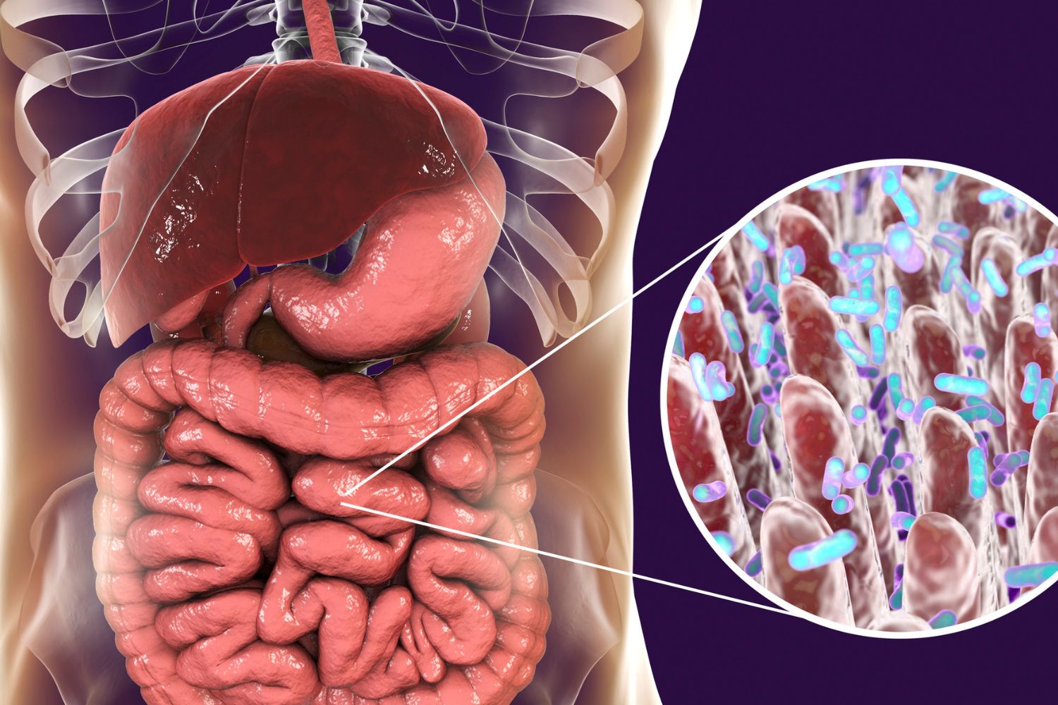 intestino e disturbi neurologi dello sviluppo