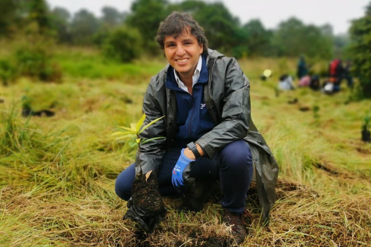 Salva frutti tropicali