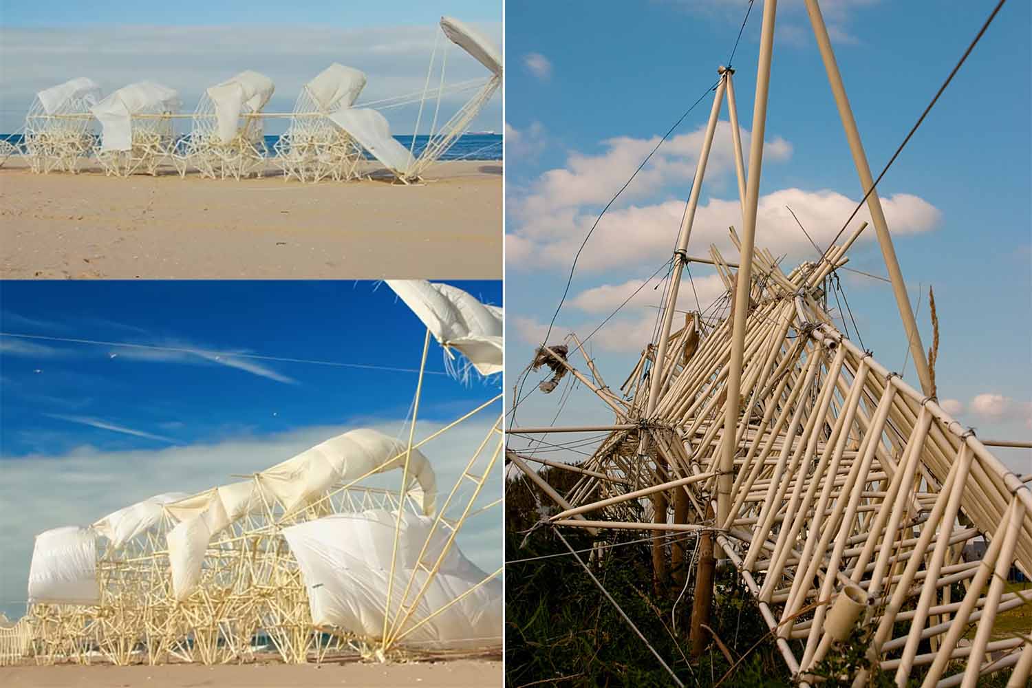 Strandbeest