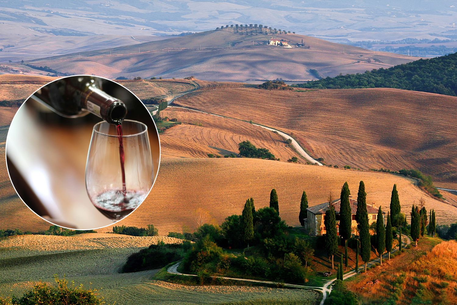 Not only Chianti, these are the best wines in Tuscany selected by Bibenda 2025