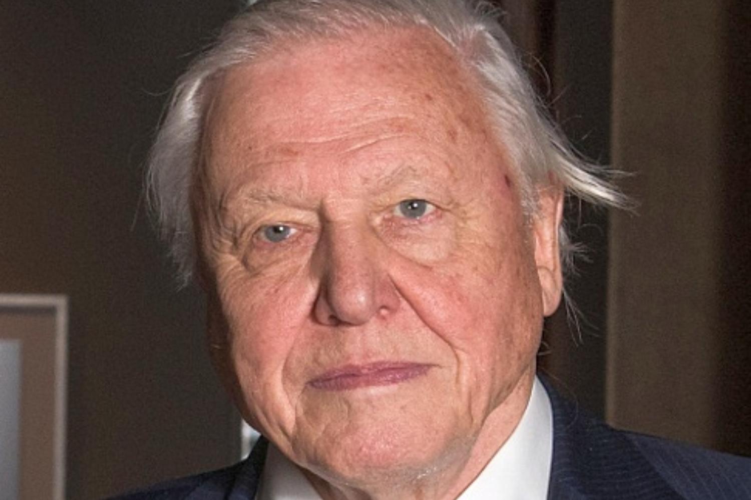 David Attenborough