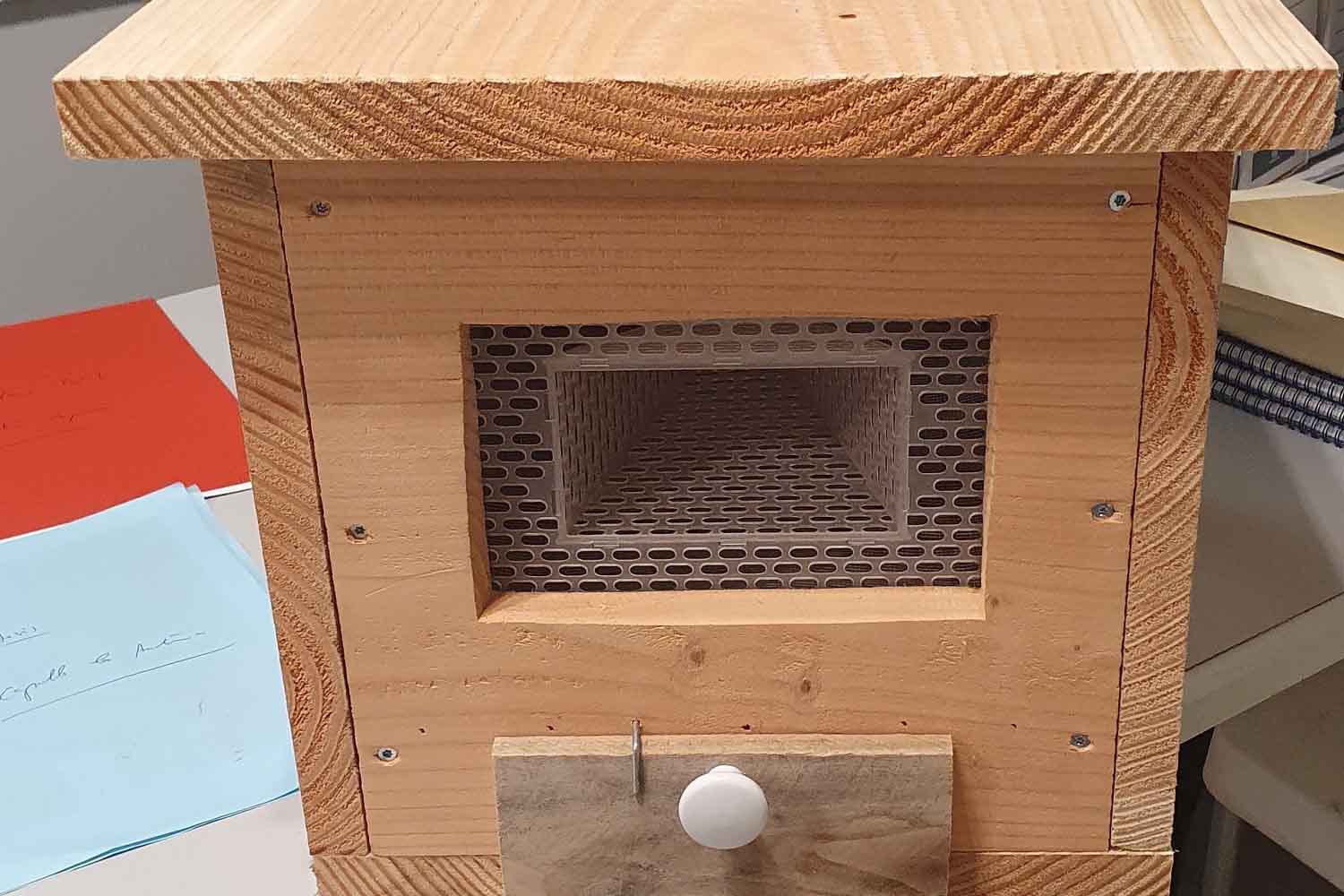 Trappola per calabroni asiatici