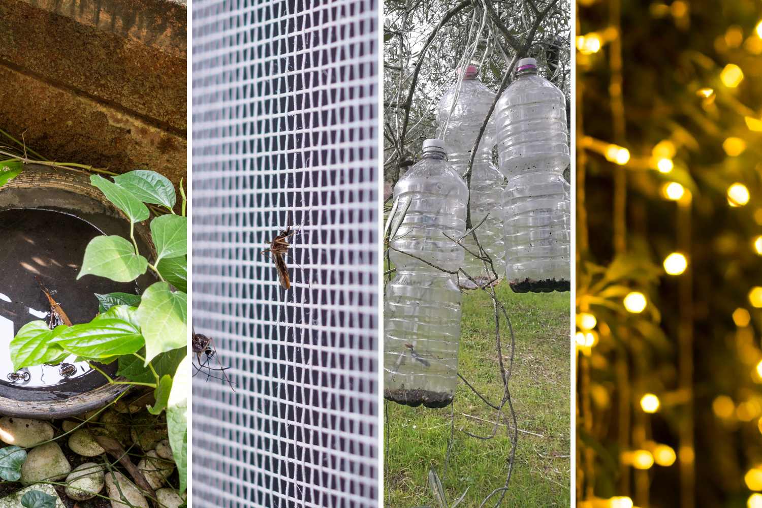 Hygiene, mosquito nets, traps and LED lighting