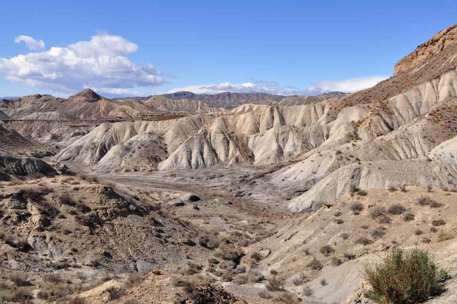 Tabernas desert