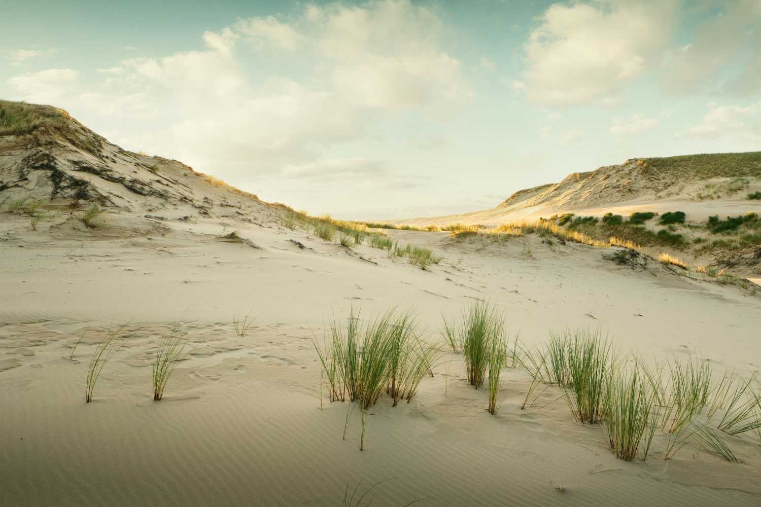 Slowinski 2 National Park