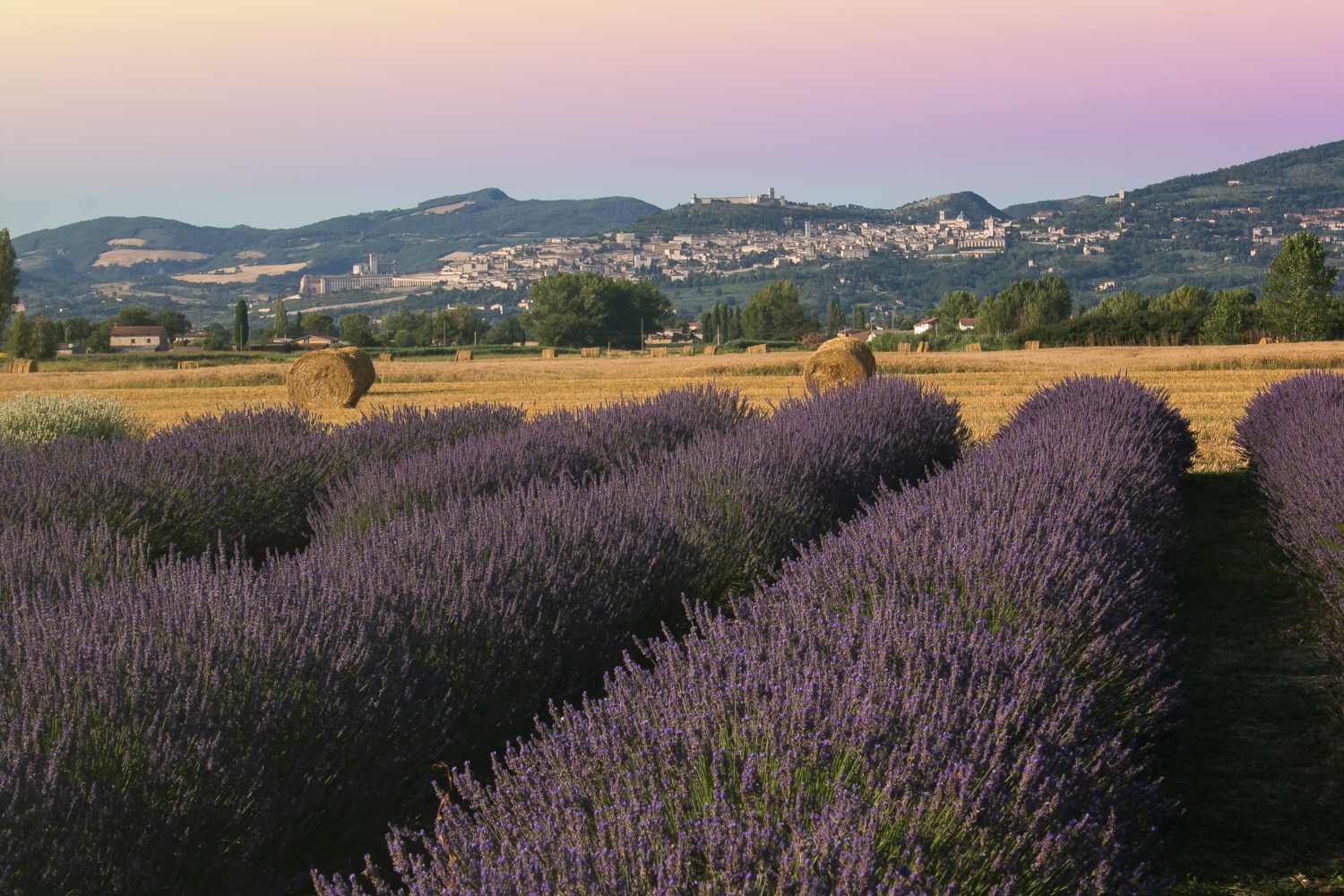 washhouse of Assisi