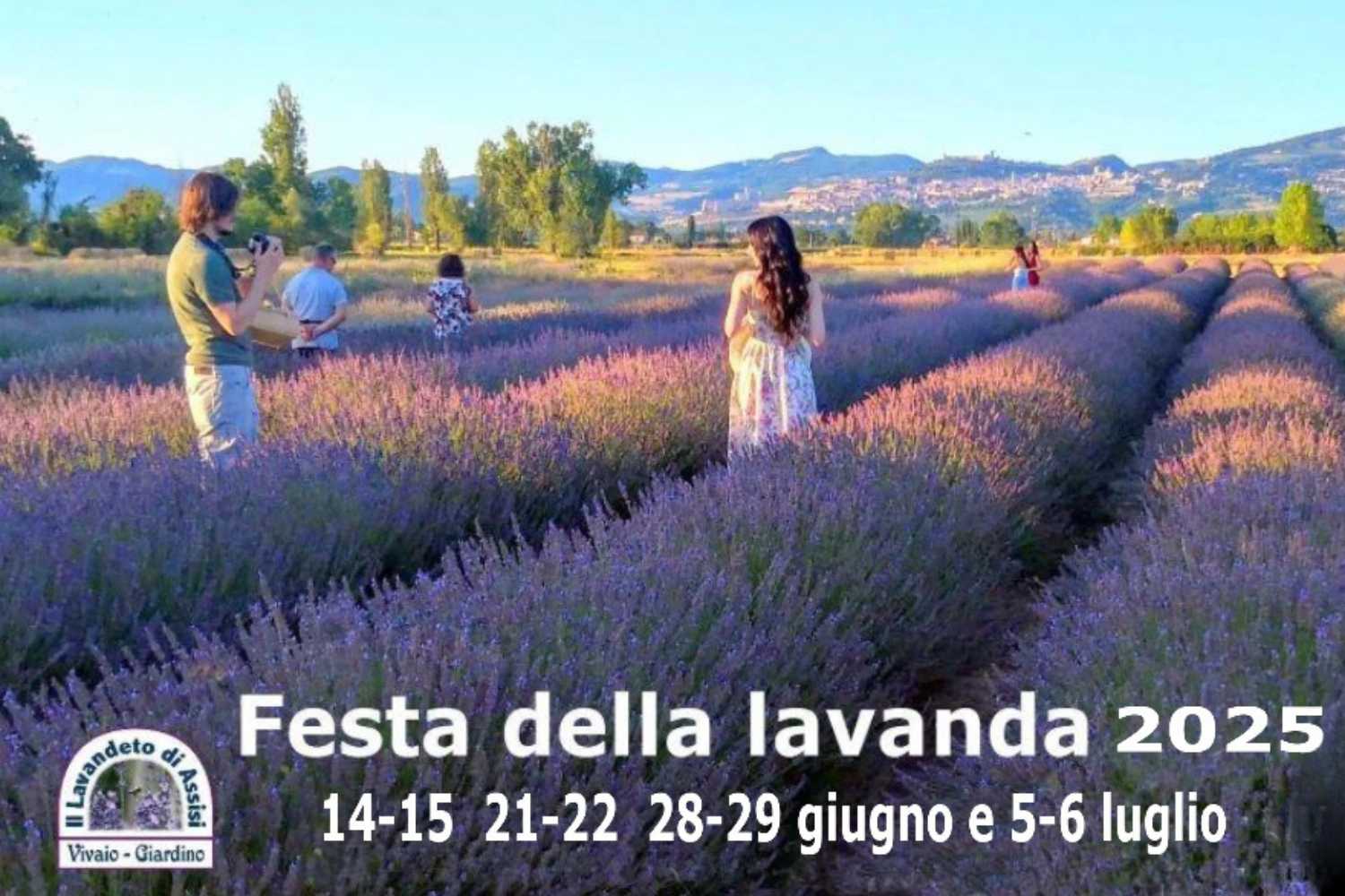 festa della lavanda 2025