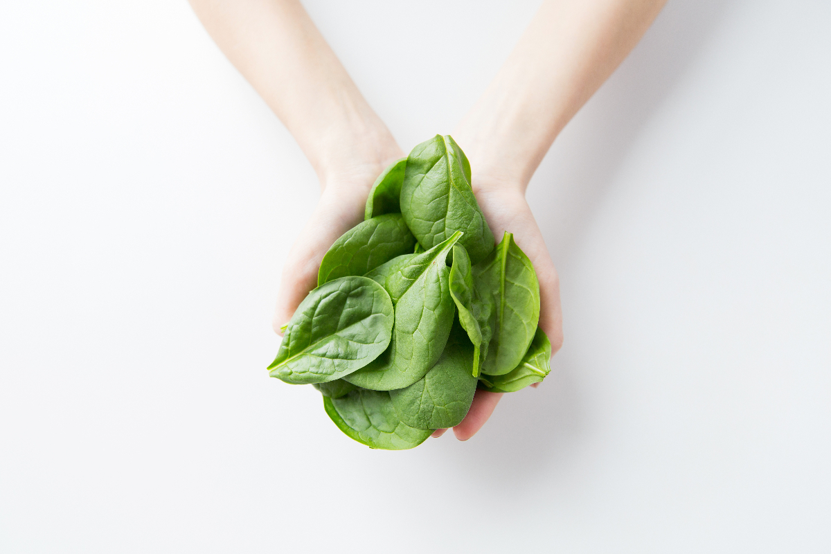 Collection of spinach