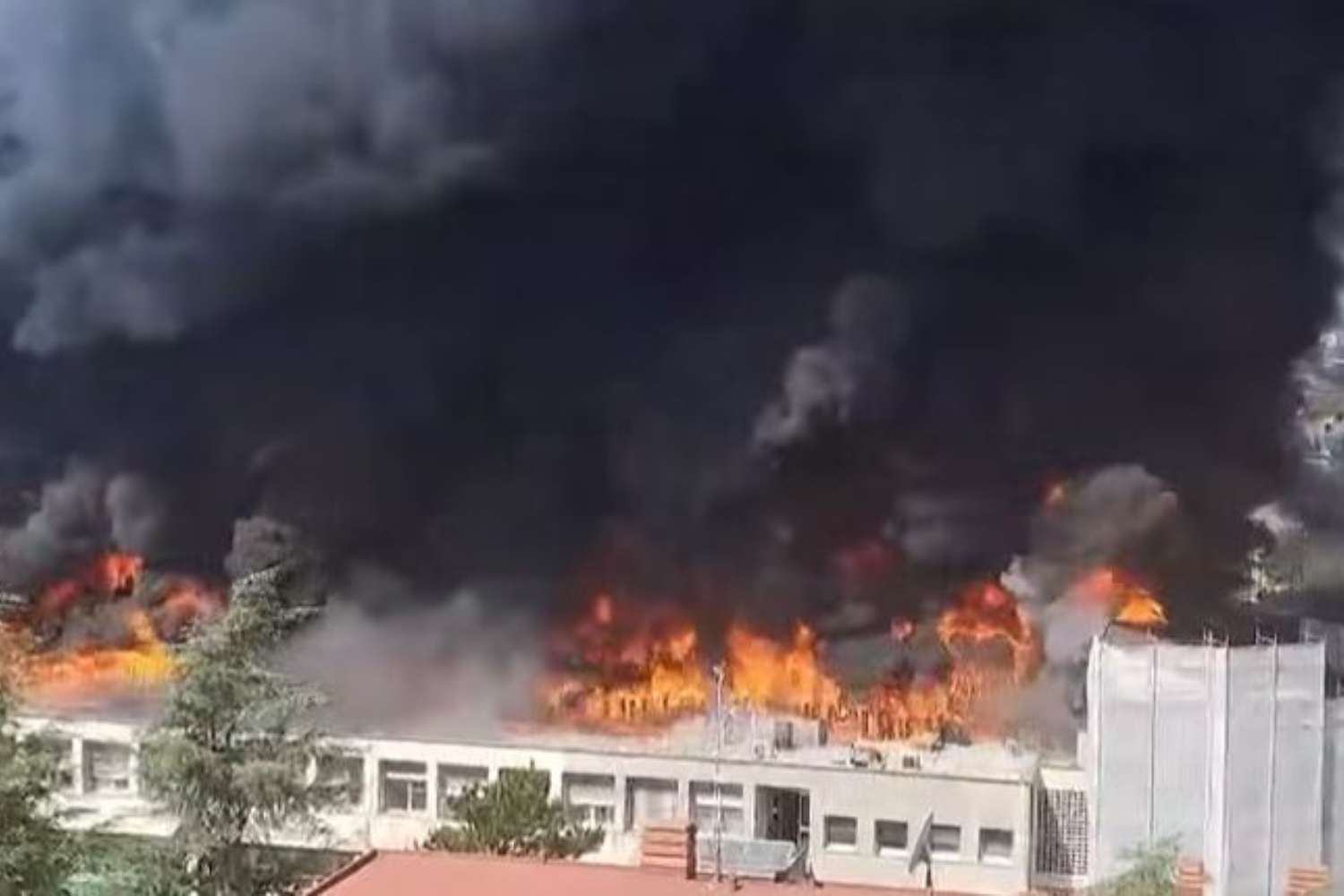 Maxi fire at the University of Tuscia in Viterbo, the second floor collapses: Students evacuated and staff