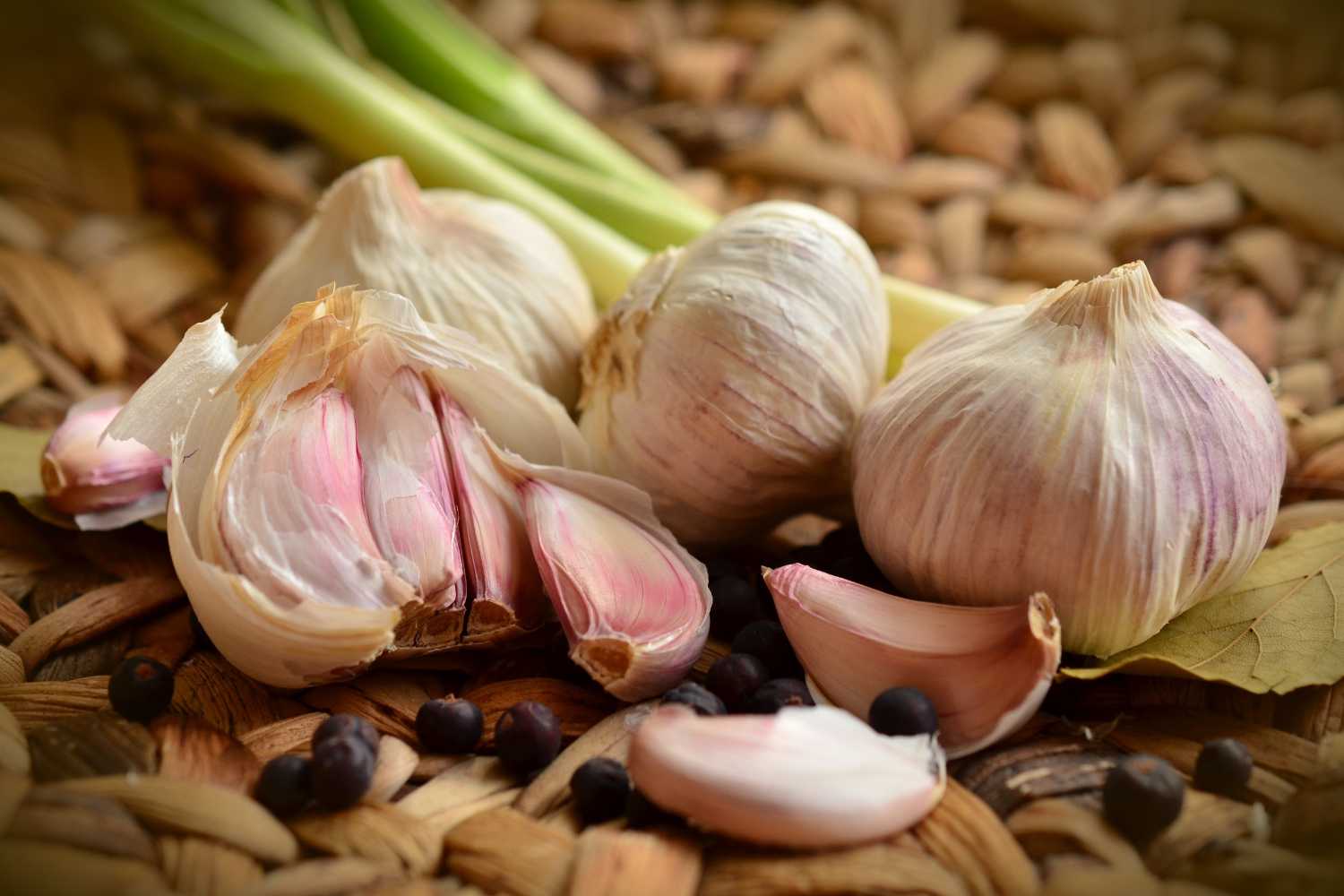 garlic