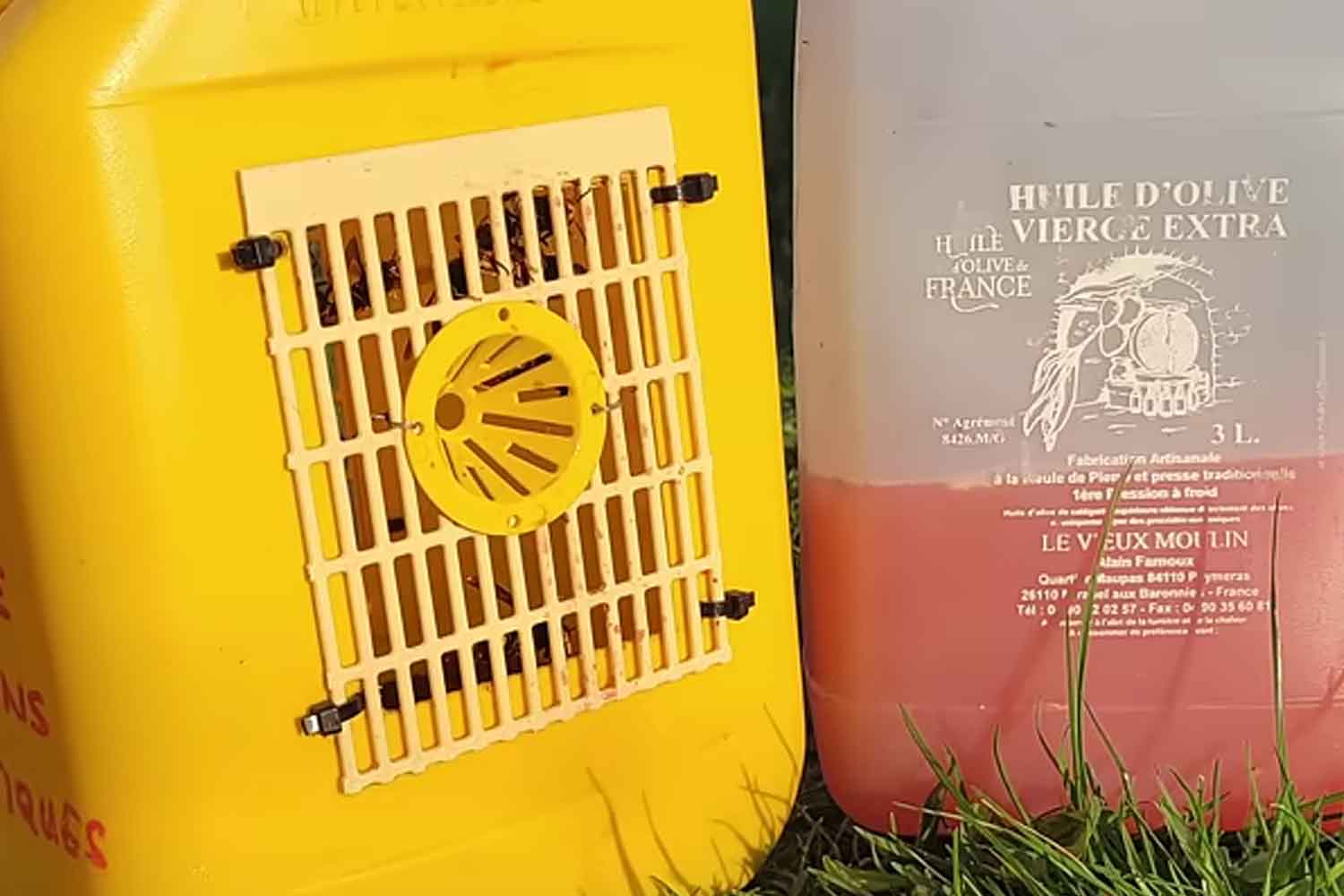 trappola calabrone asiatico