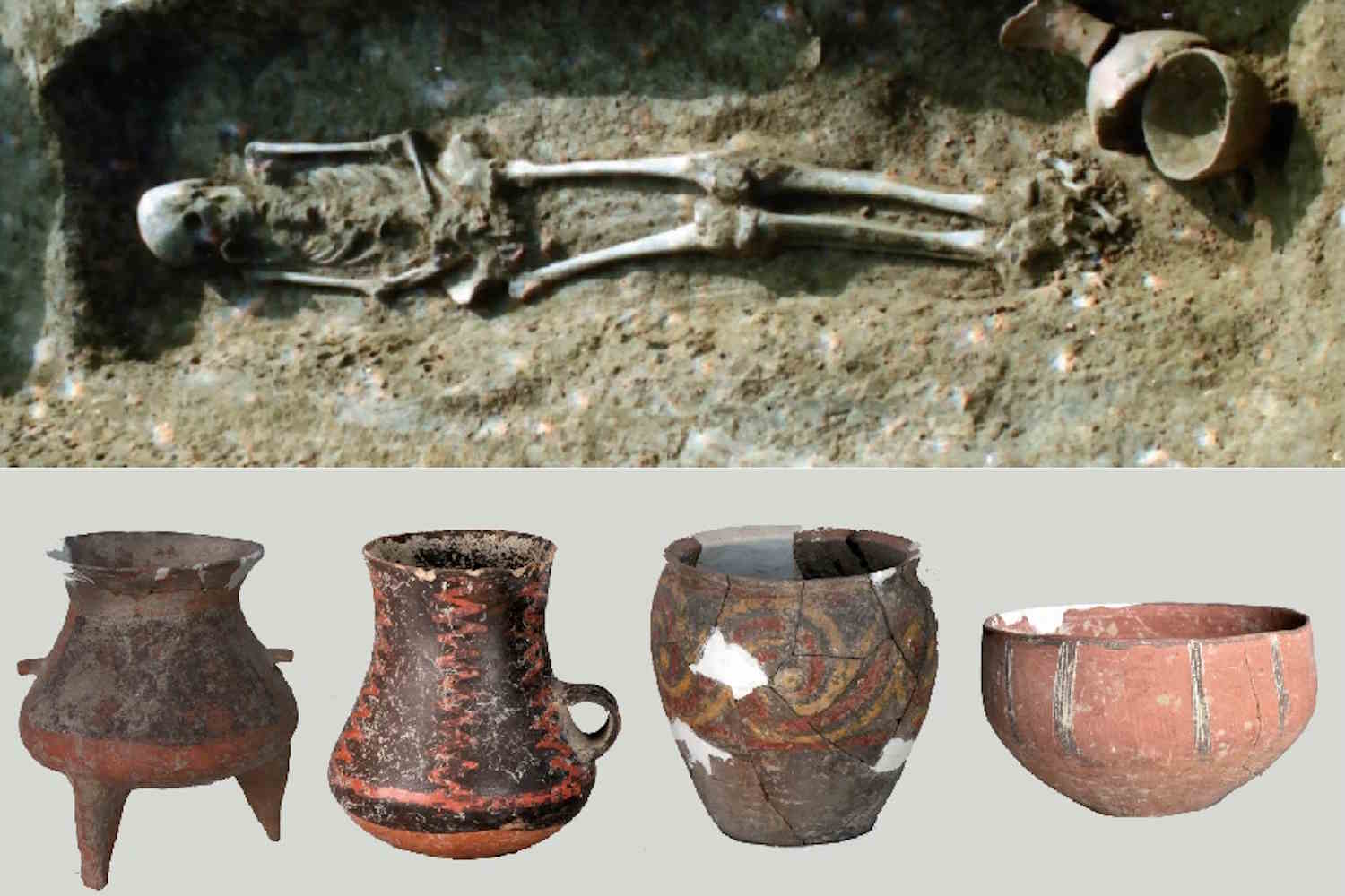 società matrilineare