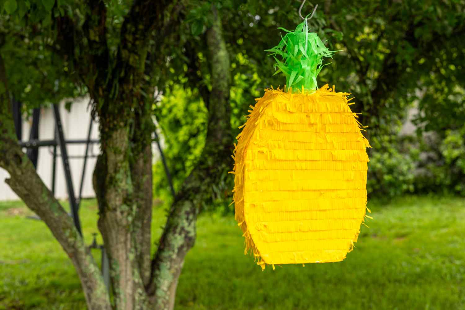 pinata ananas
