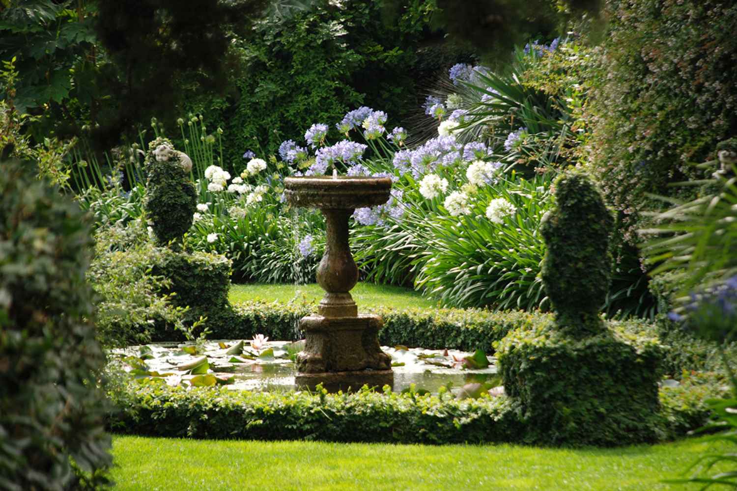 agapanti villa la pergola