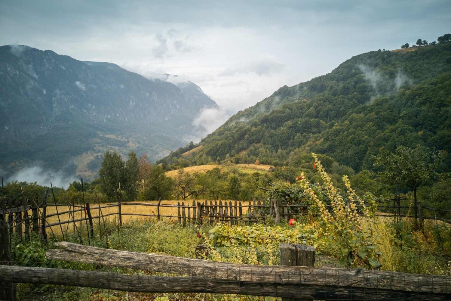 Domogled-Valea Cerne National Park