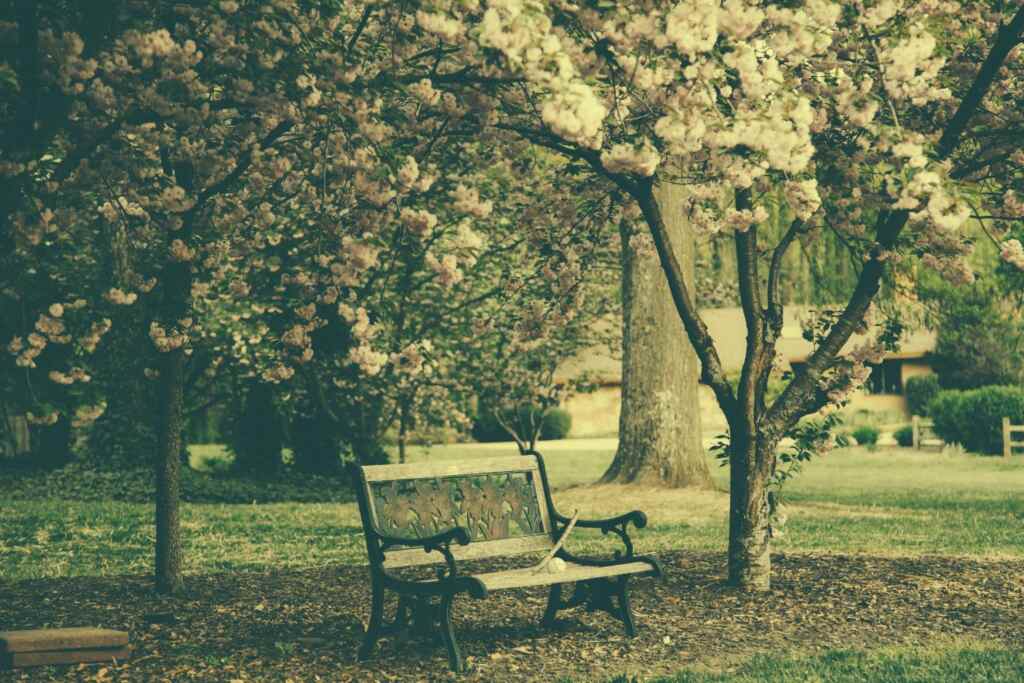 Is human composting the future? That's why Switzerland is experimenting with it (and what Italy thinks)