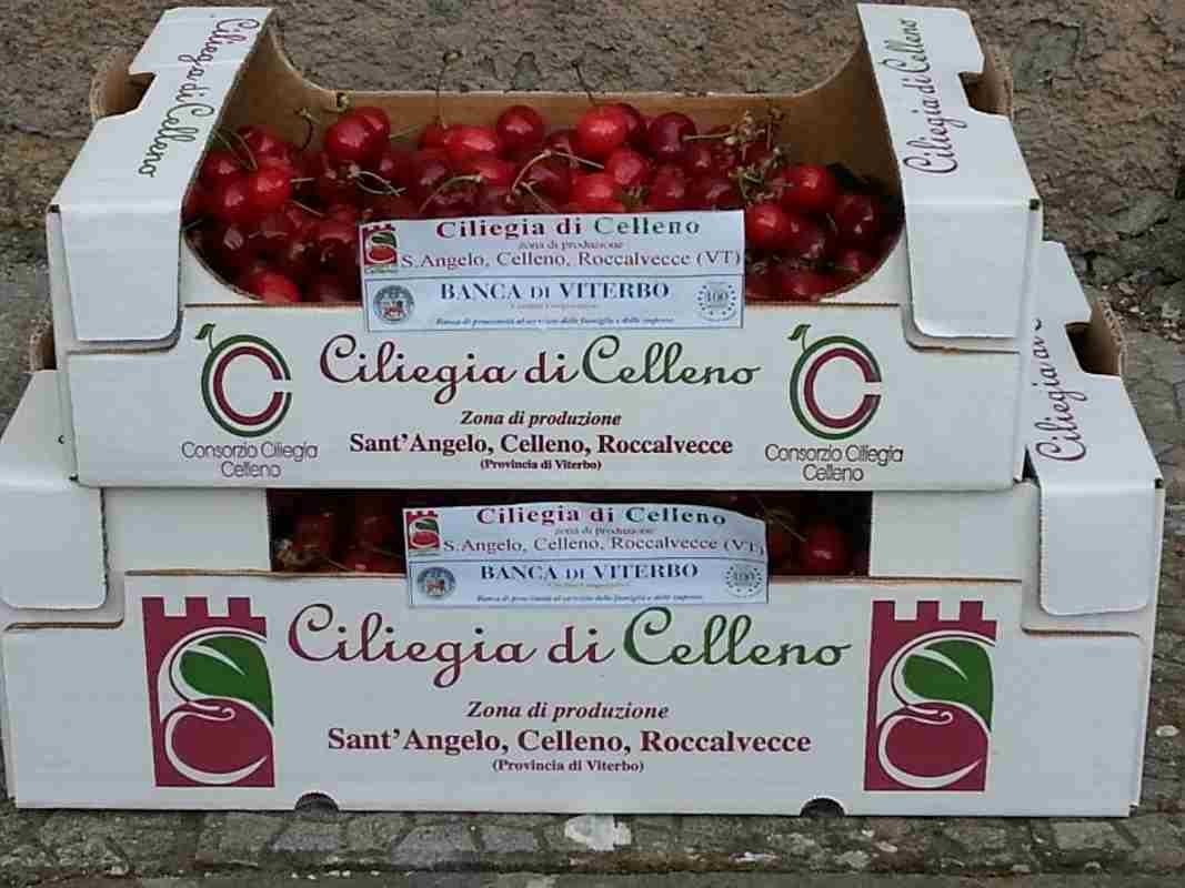 Celleno cherries