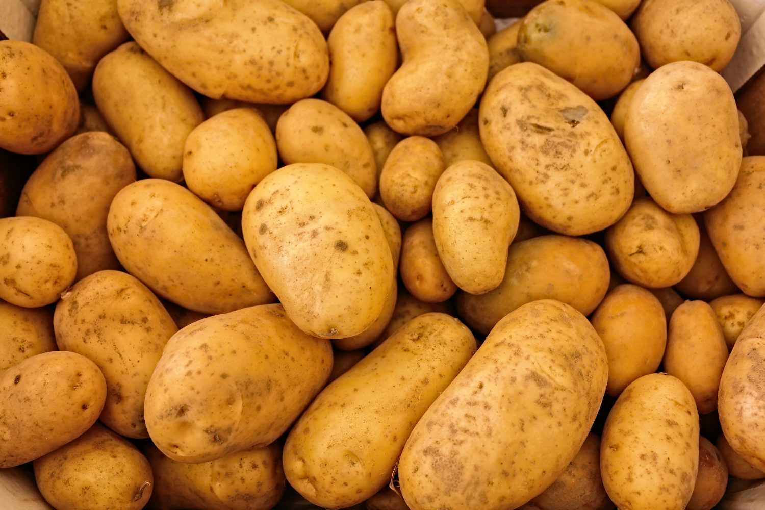 potatoes