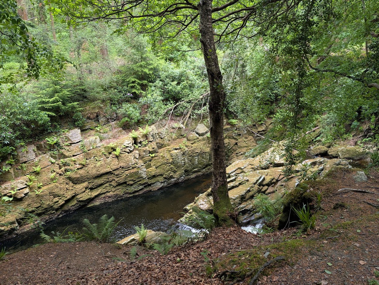 Tellymore paths