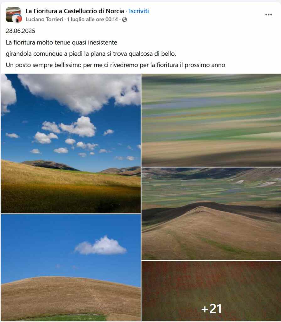 Flowering Castelluccio 3