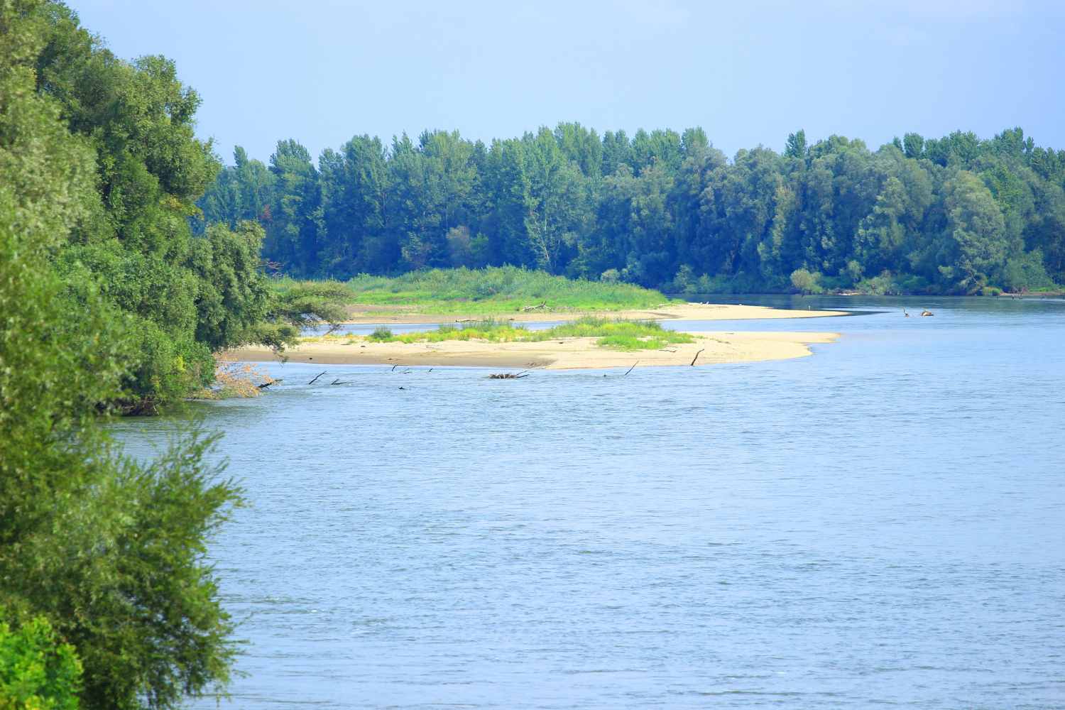 Drava river