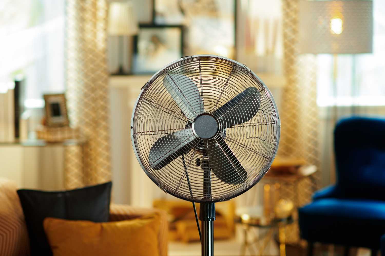 fan