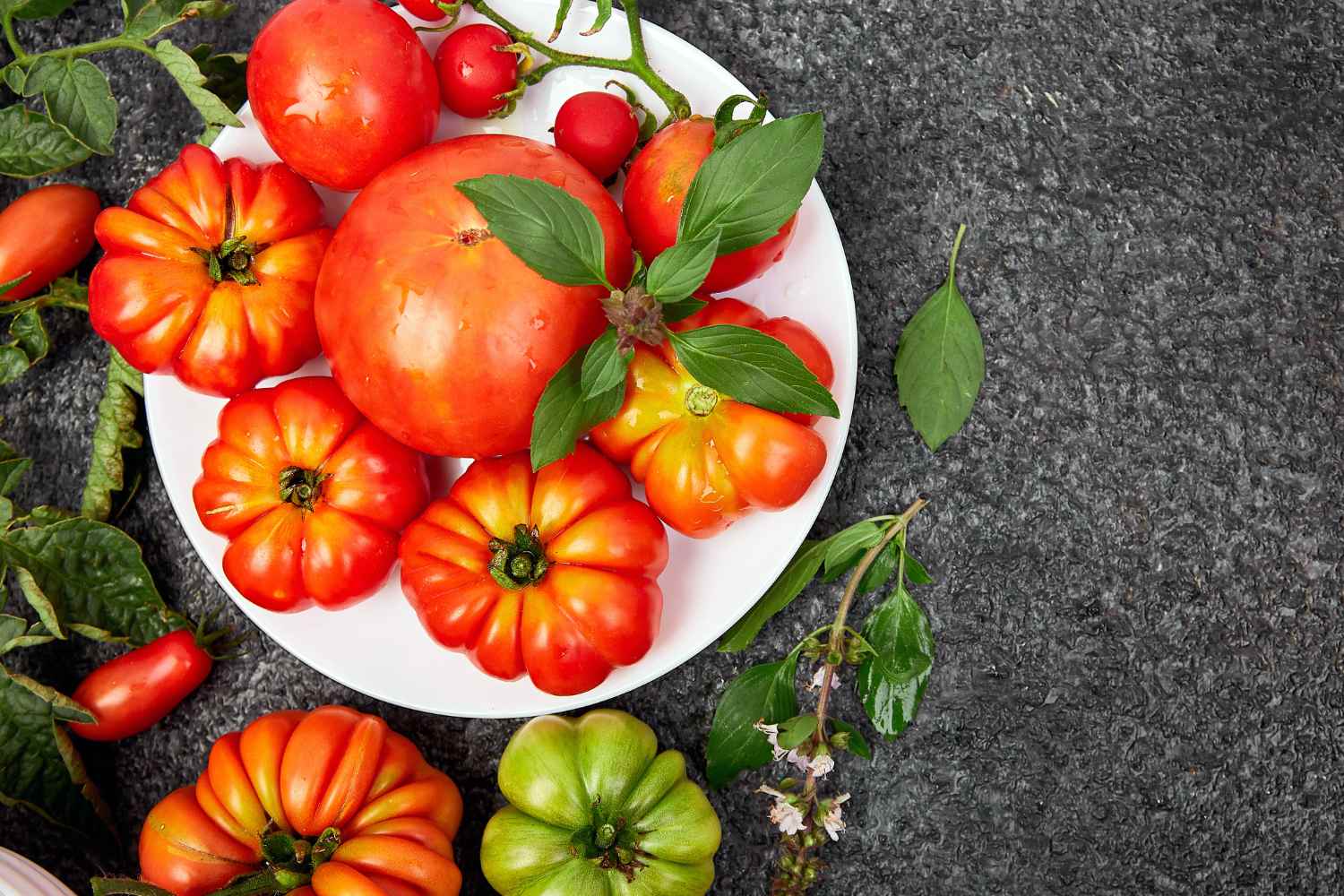 From the heart of ox to the datterino: the 10 varieties of Italian tomatoes and all the secrets to always choose the right one