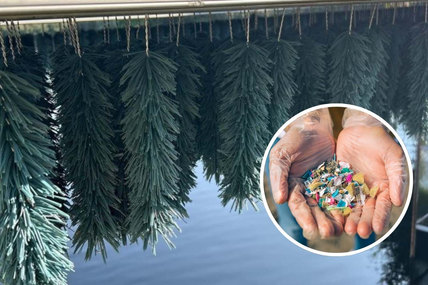 polygone microplastiche