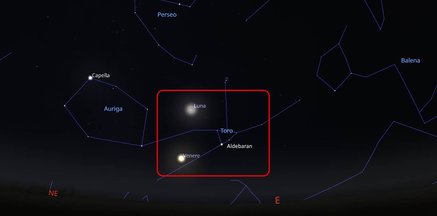 Nights Specials Luna Pleiadi Venere