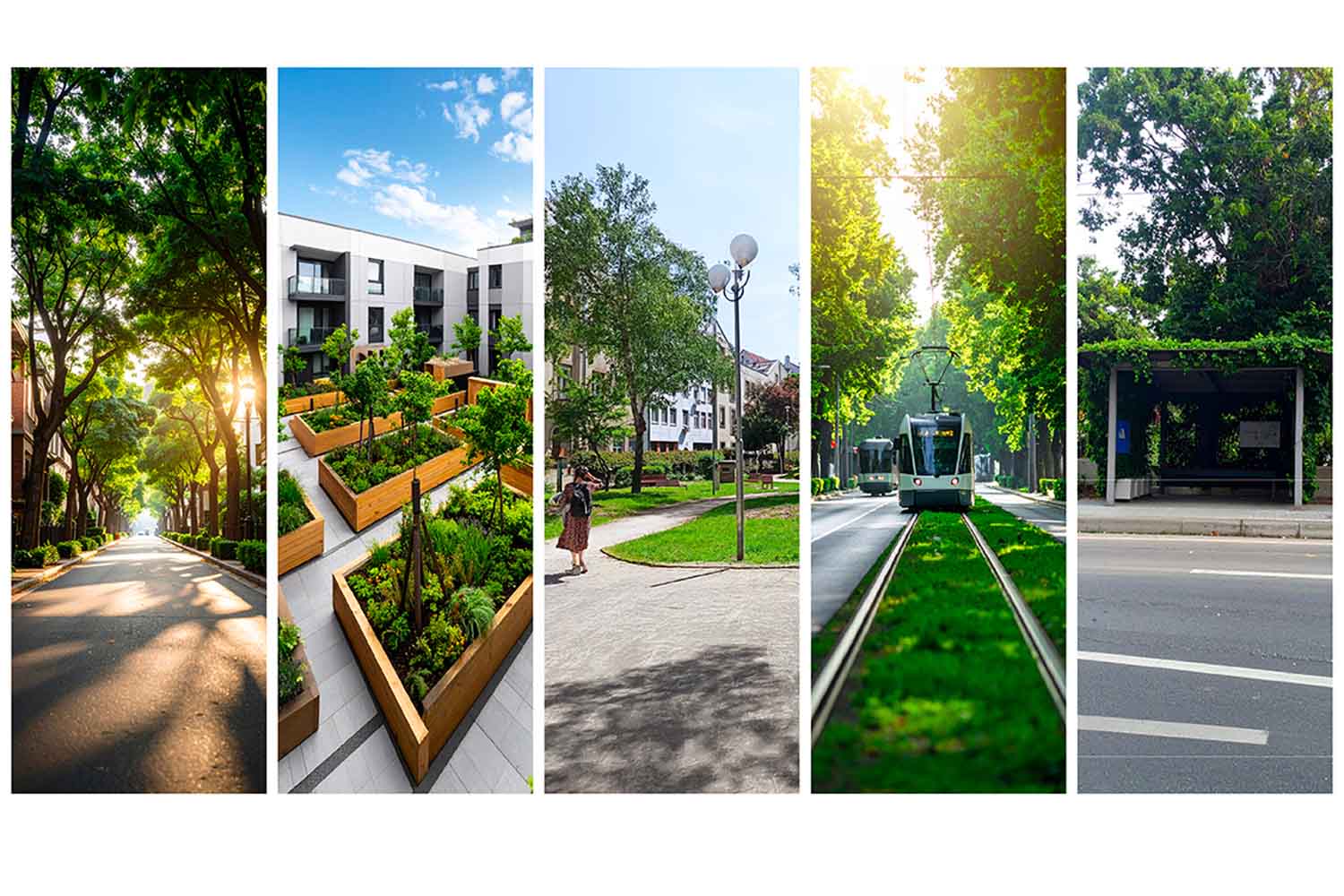 isole di calore ENEA